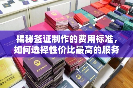 北镇揭秘签证制作的费用标准，如何选择性价比最高的服务？