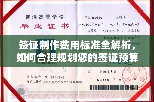 北镇签证制作费用标准全解析，如何合理规划您的签证预算？
